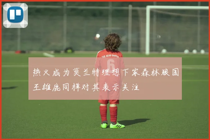 热火成为莫兰特理想下家森林狼国王雄鹿同样对其表示关注