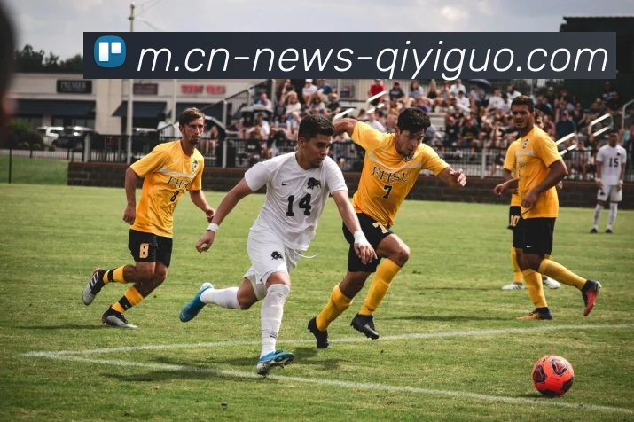 App Interface Preview