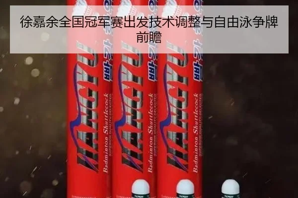 徐嘉余全国冠军赛出发技术调整与自由泳争牌前瞻(qyg)